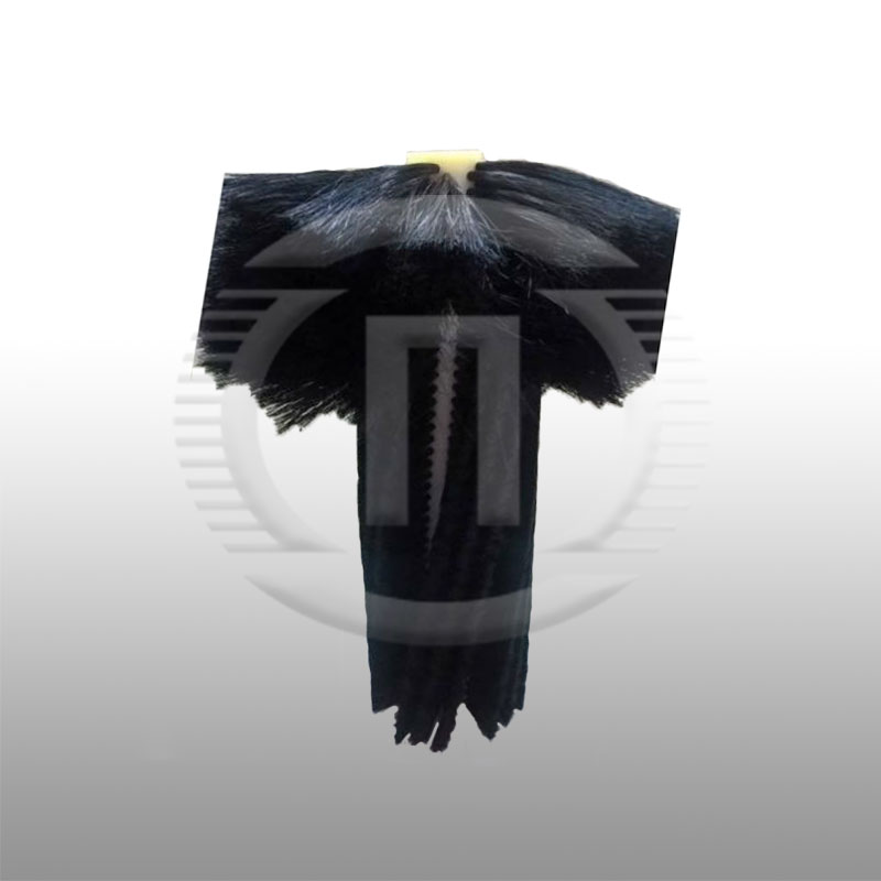 Βούρτσα καθαρισμού