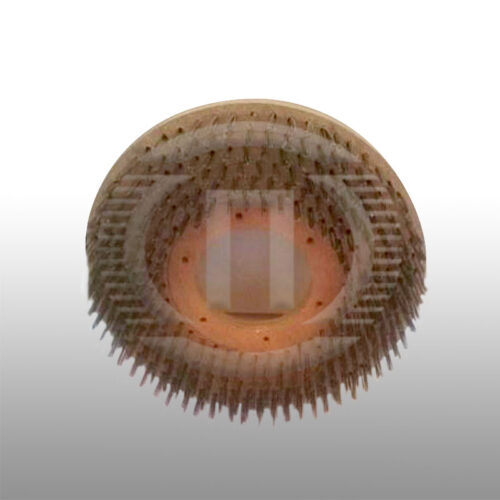 Βούρτσα ανοξείδωτη στρογγυλή