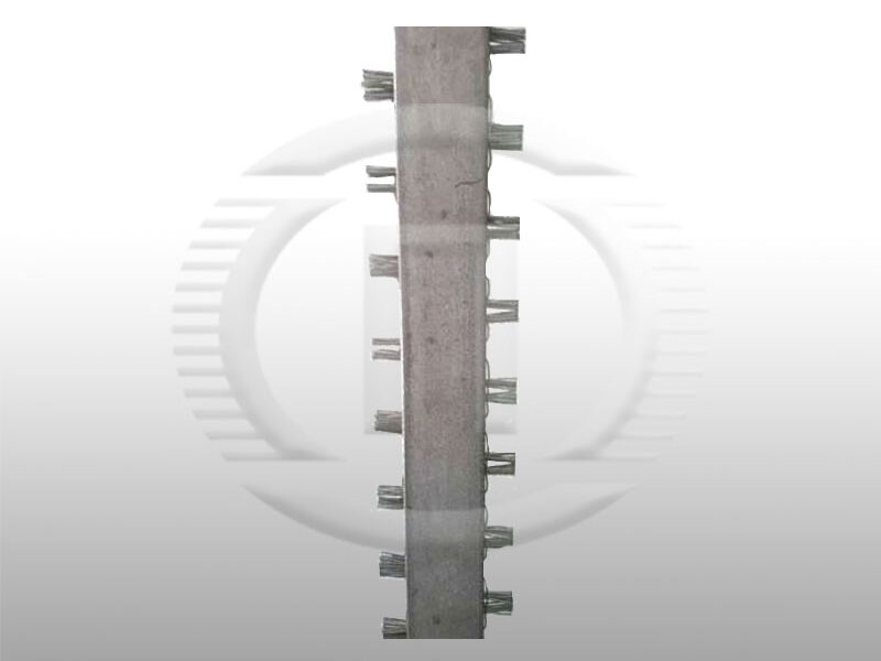 Βούρτσα βιολογικού καθαρισμού